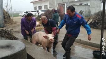 网红明星 第5页