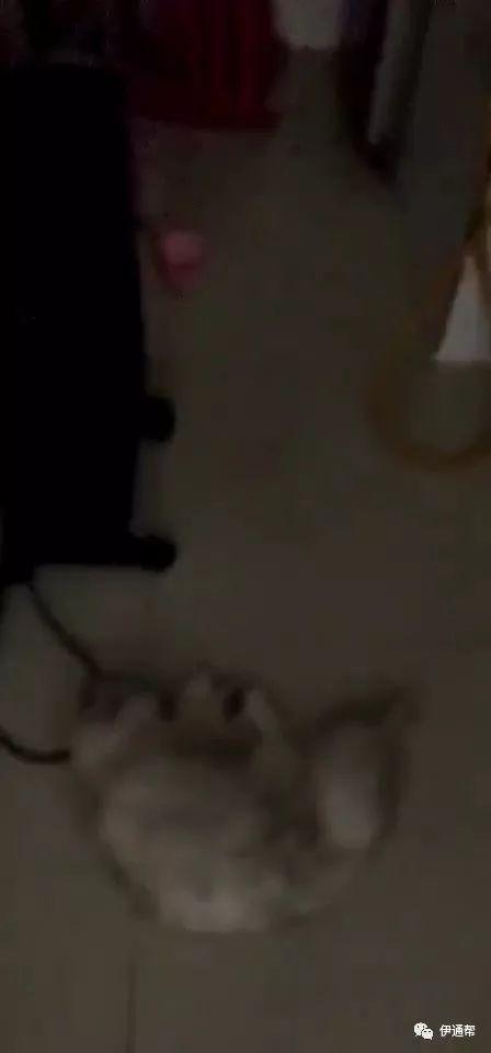 娱乐新闻 第3页