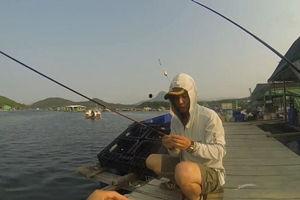 网红明星 第3页